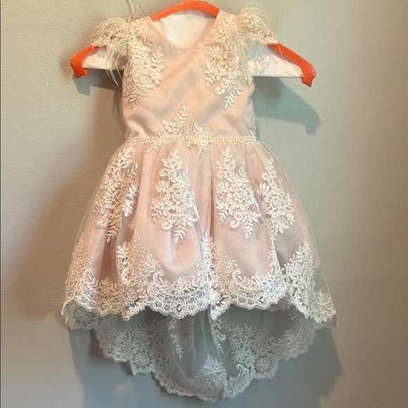 Other - 12 Months Sequin and Lace Pink Dress with Floral Embroidery Train Pearl Belt